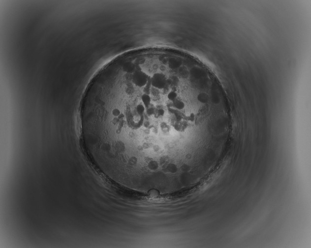 X0000094811271200711161500