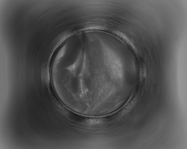 X0000094811274200711161500