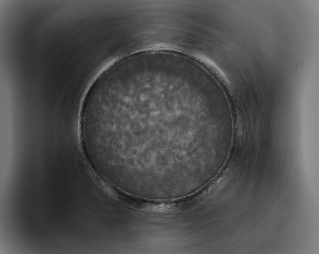 X0000094811278200711161500