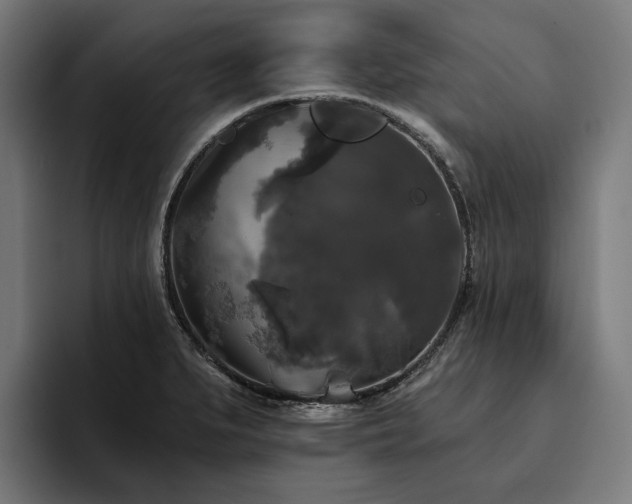 X0000094811279200711161500