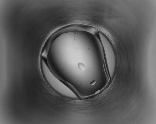 X0000094811280200711161500