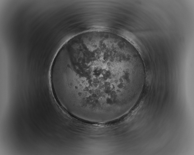 X0000094811283200711161500