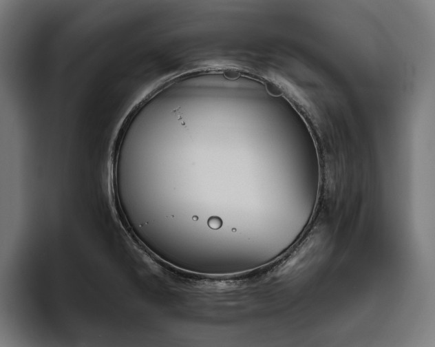 X0000094811286200711161500