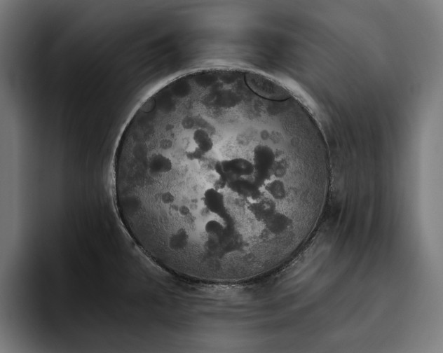 X0000094811287200711161500