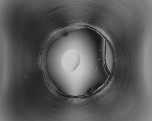 X0000094811289200711161500