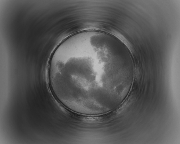 X0000094811290200711161500