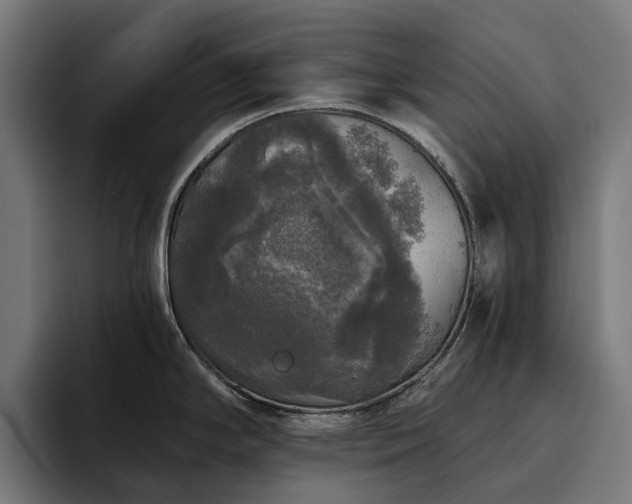 X0000094811294200711161500