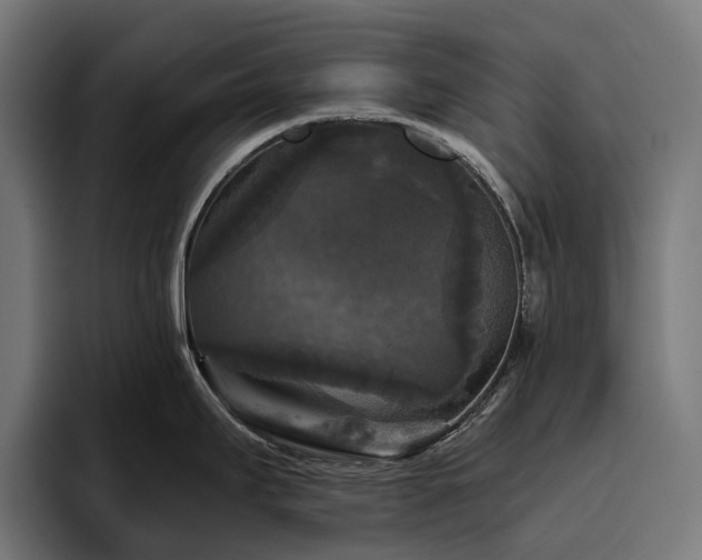 X0000094811295200711161500