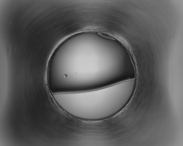 X0000094811296200711161500