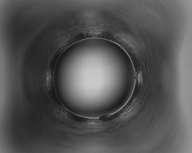 X0000094811299200711161459