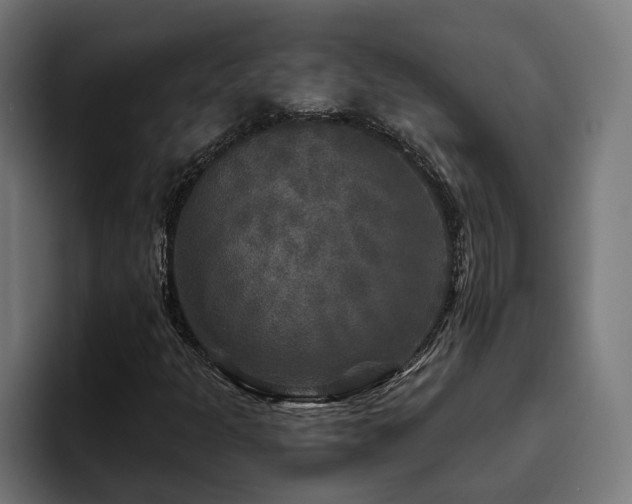 X0000094811301200711161459