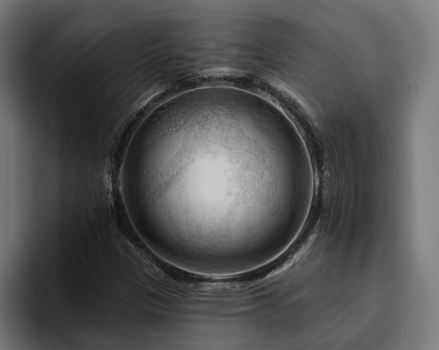 X0000094811305200711161459