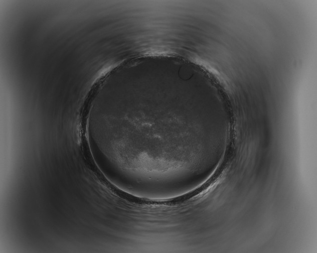X0000094811306200711161459