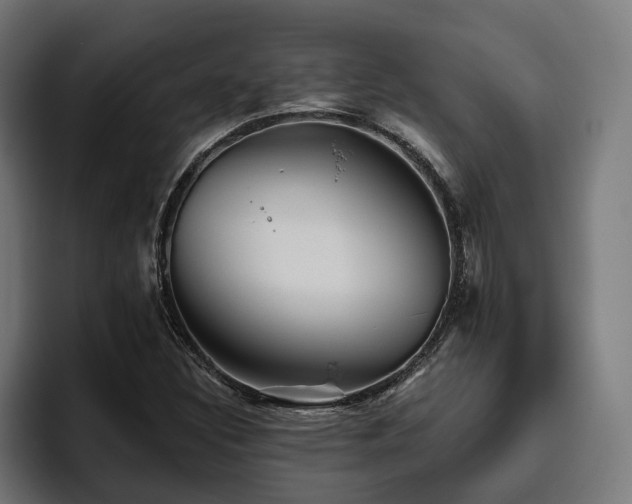 X0000094811308200711161459