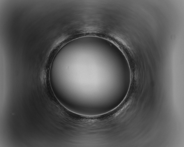 X0000094811309200711161459