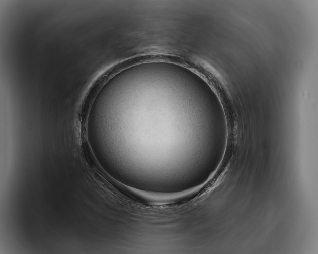 X0000094811310200711161459