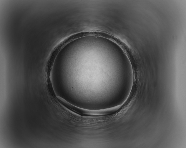 X0000094811311200711161459