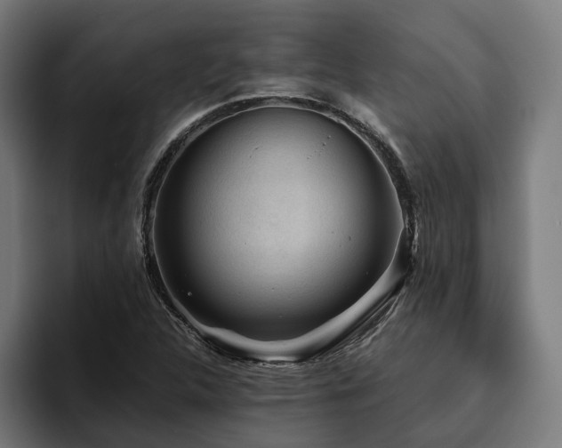 X0000094811312200711161459