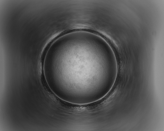 X0000094811317200711161459