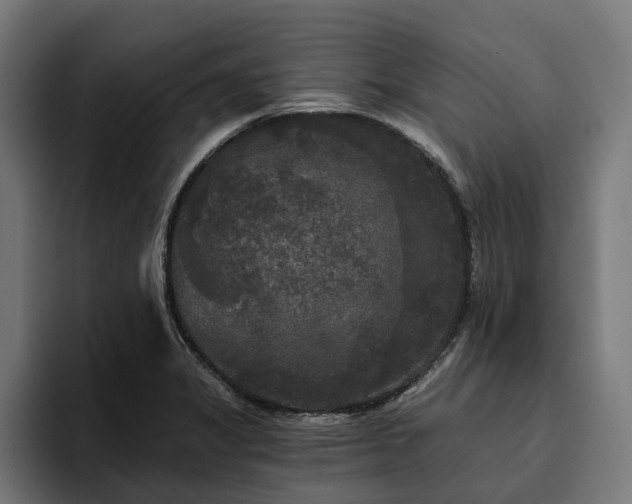 X0000094811325200711161459