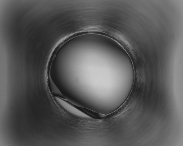 X0000094811328200711161459