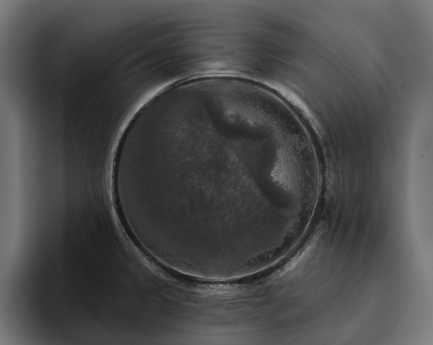 X0000094811333200711161459