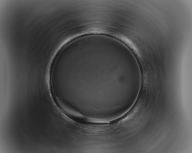 X0000094811334200711161459