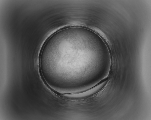 X0000094811335200711161500