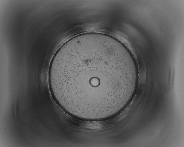 X0000094811338200711161500