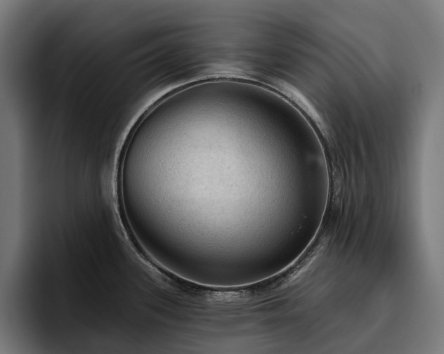 X0000094811339200711161500