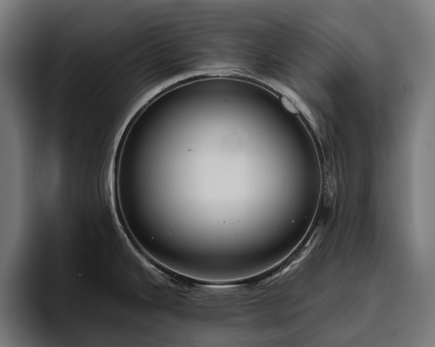 X0000094811343200711161500