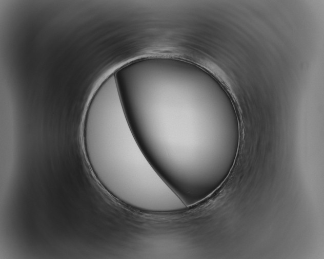X0000094811344200711161500