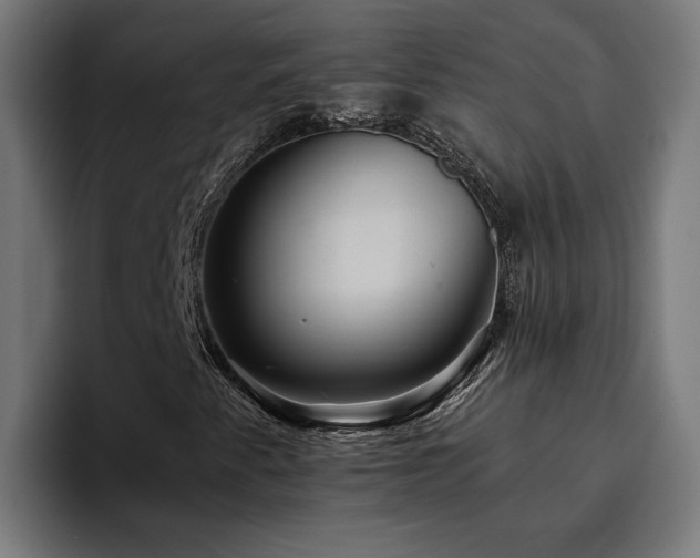 X0000094811345200711161459