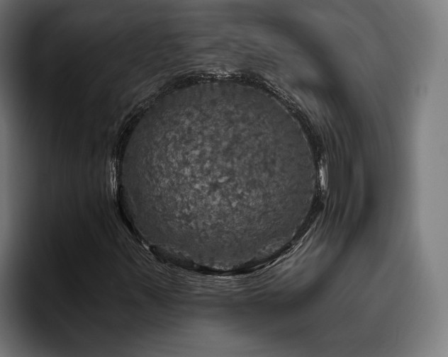 X0000094811347200711161459