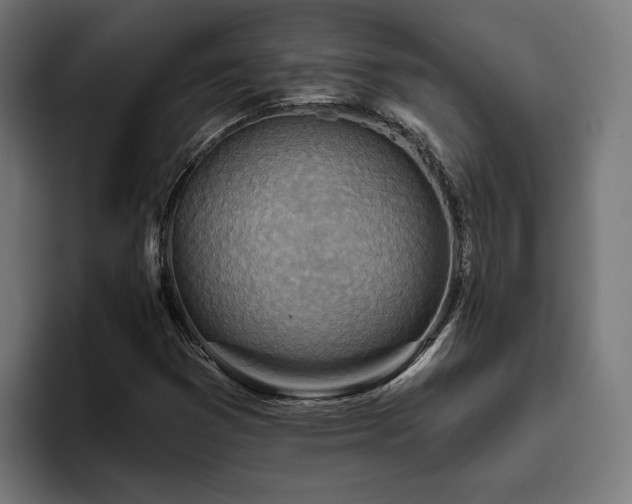 X0000094811353200711161459