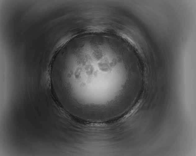 X0000094811354200711161459