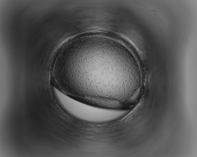 X0000094811355200711161459