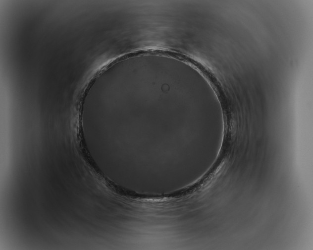 X0000094811359200711161459