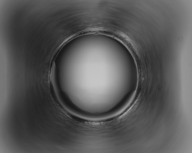 X0000094811361200711161459