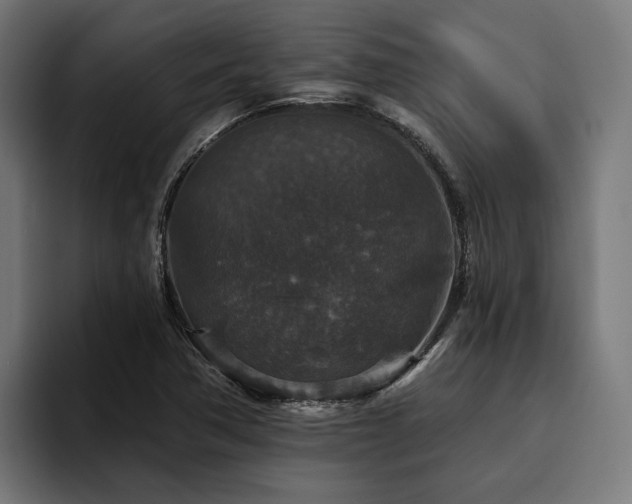 X0000094811362200711161459