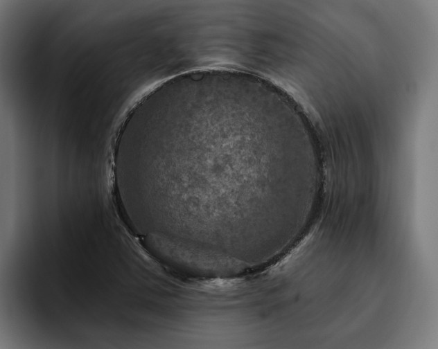 X0000094811363200711161459