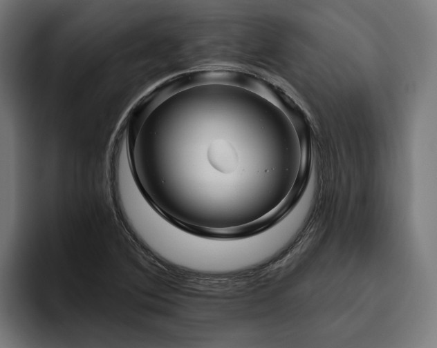 X0000094811364200711161459