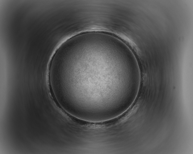 X0000094811374200711161459