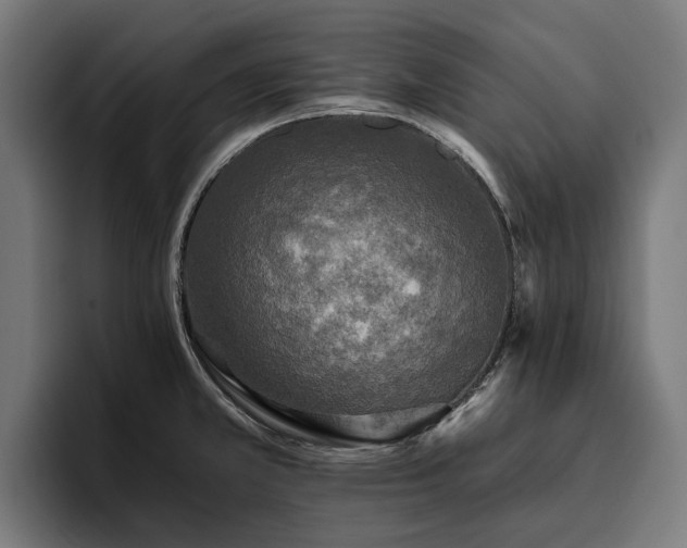X0000094811381200711161459