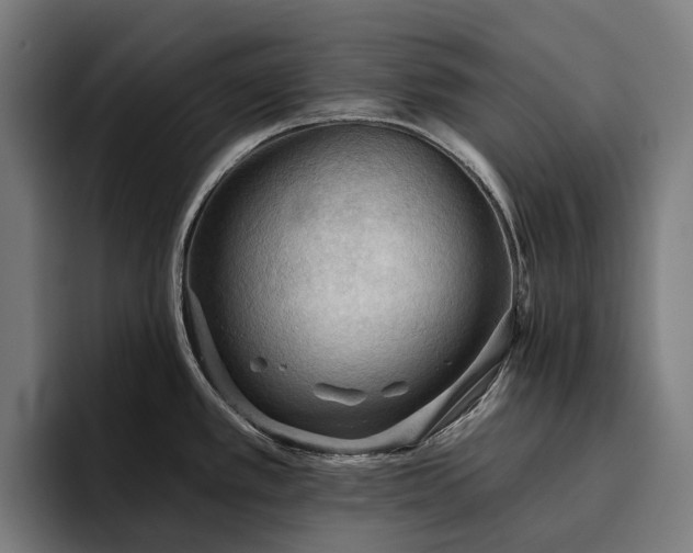 X0000094811389200711161458