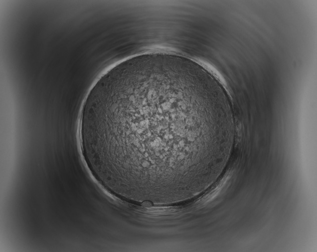 X0000094811391200711161458