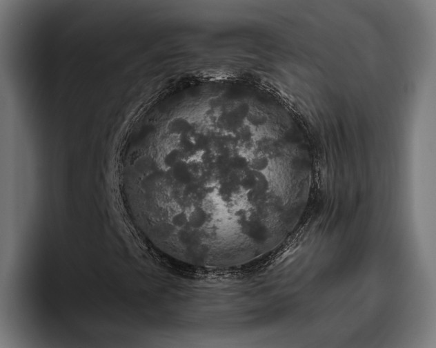 X0000094811393200711161458