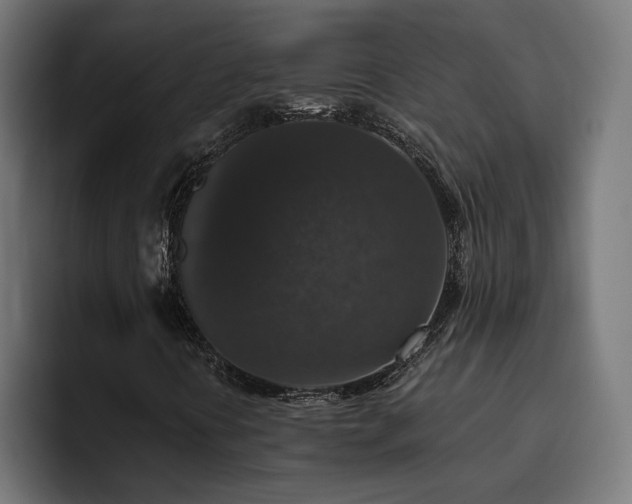 X0000094811394200711161458