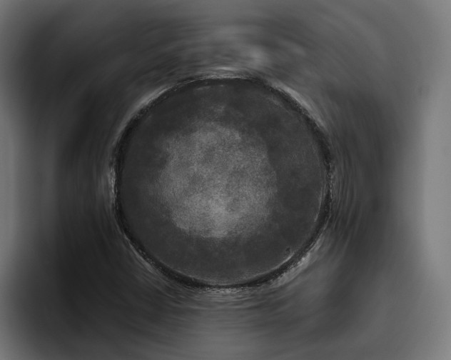X0000094811402200711161458