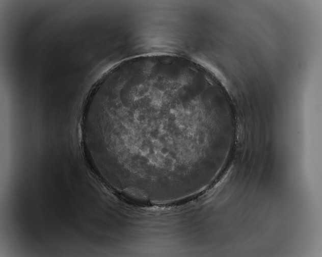 X0000094811407200711161458